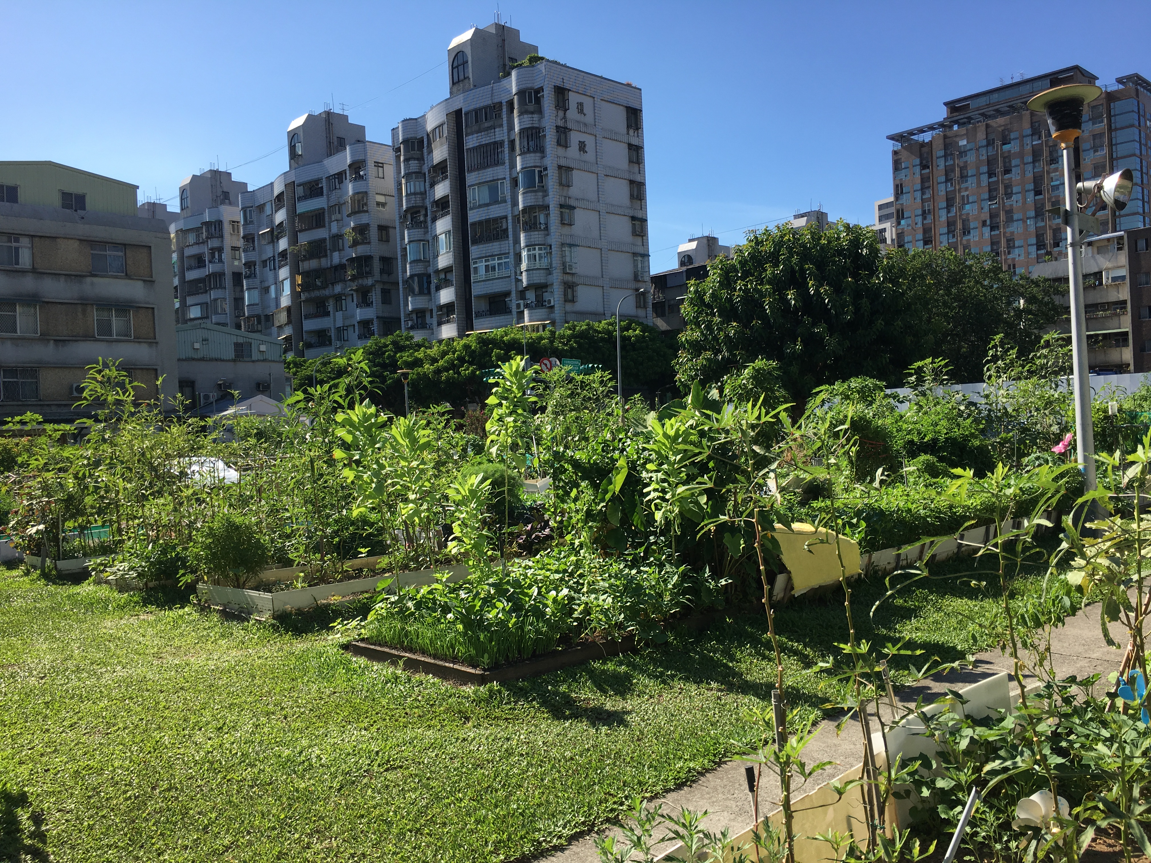 共創幸福社區園圃 打造互動鄰里城市